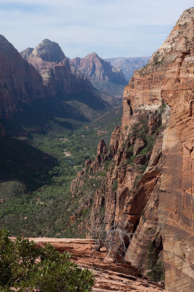 Zion Canyon from Angels Landing by RogerRabbitPro