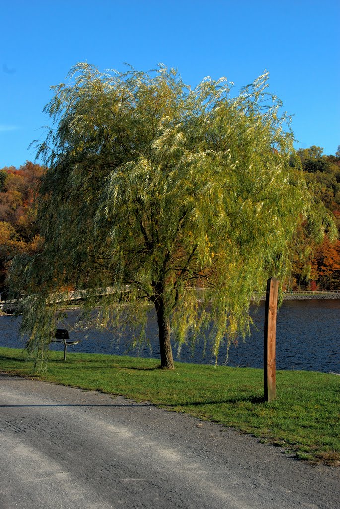 Cheat Lake Park by Pierremontbleau