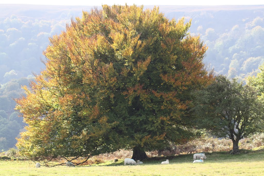 Blorenge by David Owen