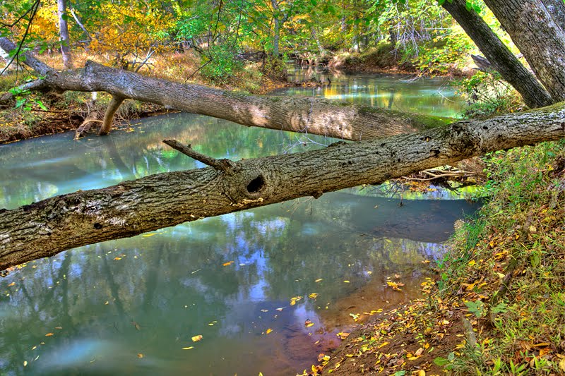 Manasquan River Running through Allaire State Park by Bob Engelbart