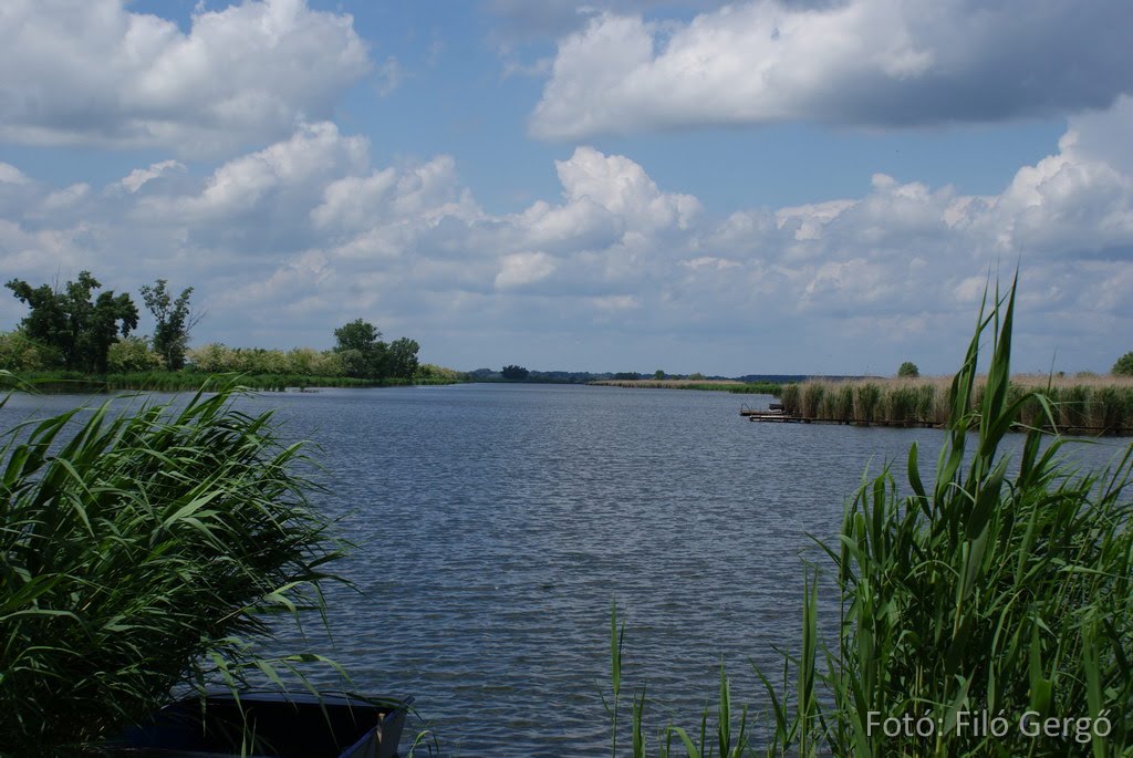 Holt-Tisza by filogergo