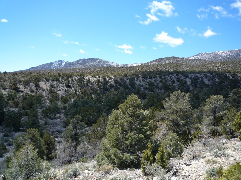 20090412 Pine Nut Road 4x4 09 Pine Nut Camp: Looking southwest across the big wash by Caranzo/McConnell