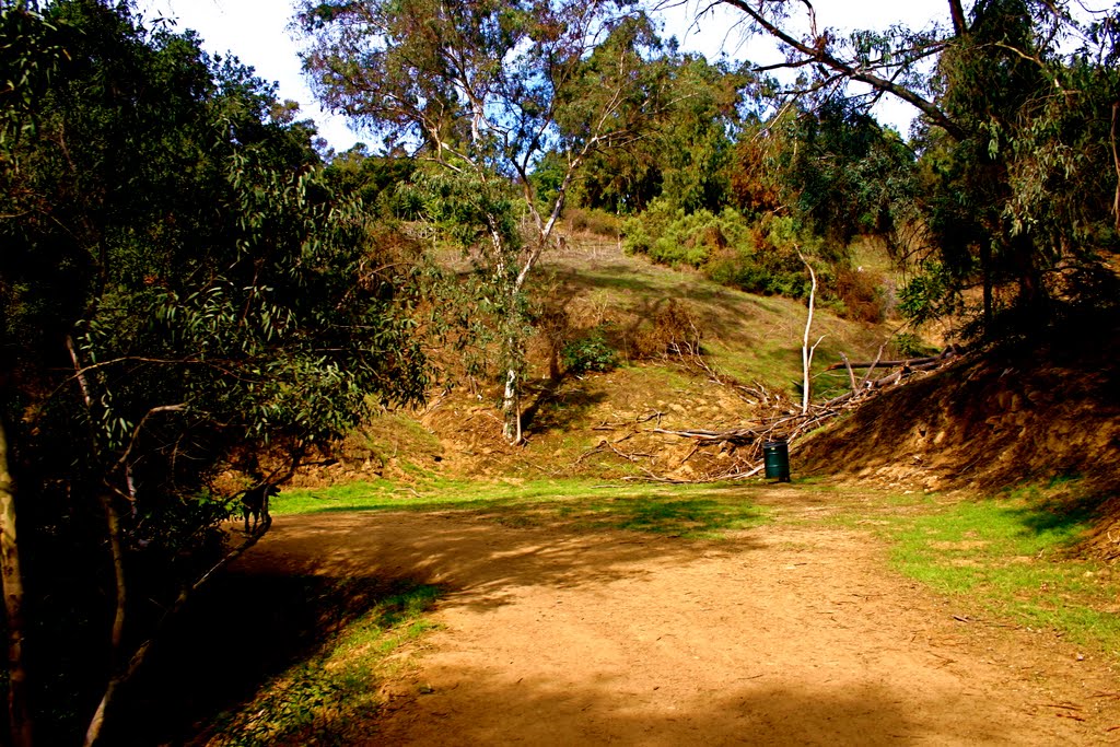 The Hiking Trail in Elysian Park, Los Angeles, CA by Michael Jiroch