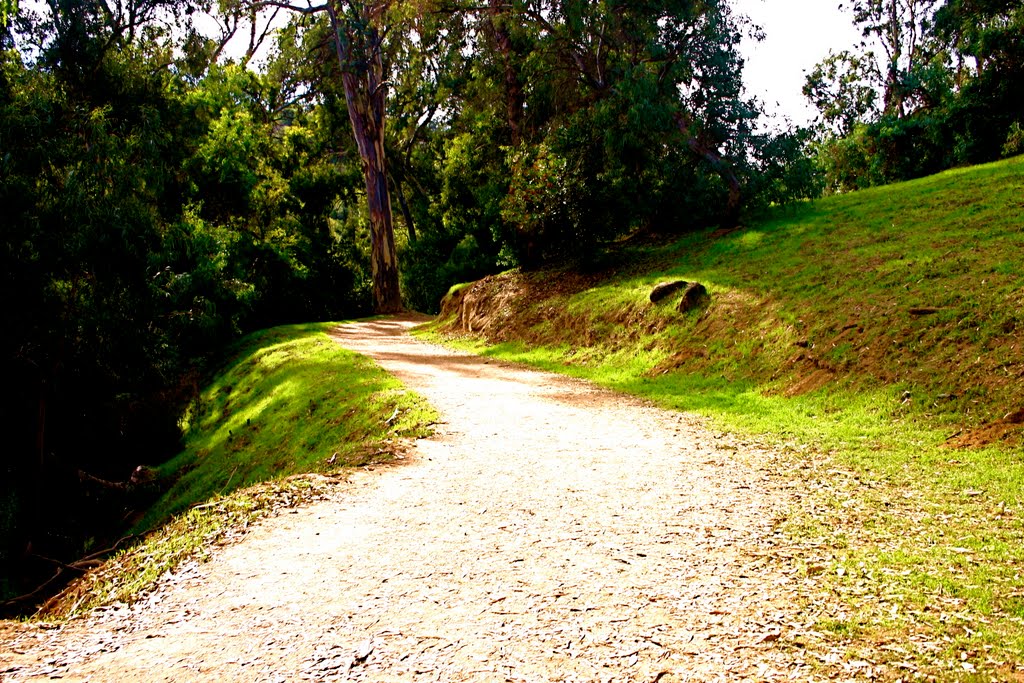 The Hiking Trail in Elysian Park, Los Angeles, CA by Michael Jiroch