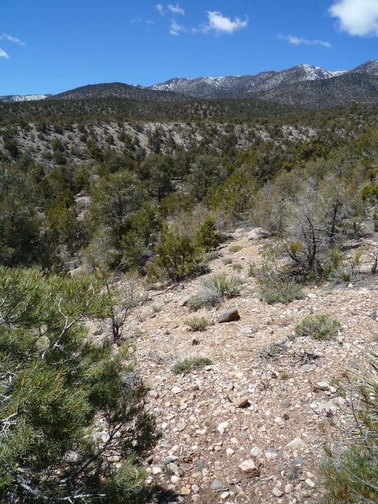 20090412 Pine Nut Road 4x4 19 Pine Nut Road: The big wash and the Sheep Range by Caranzo/McConnell