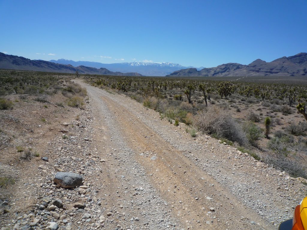 20090412 Pine Nut Road 4x4 20 Mormon Well Road: Returning through the Yucca Forest, driving toward (from left) Fossil Ridge, La Madre Mountain, the high Spring Mountains (with snow) & the south terminus of the Sheep Range by Caranzo/McConnell