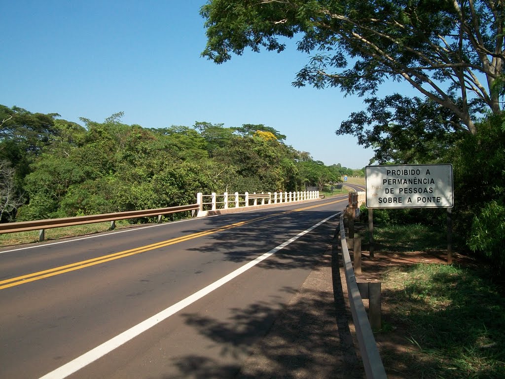 Ponte sobre o Rio Batalha by Cassio Cururu