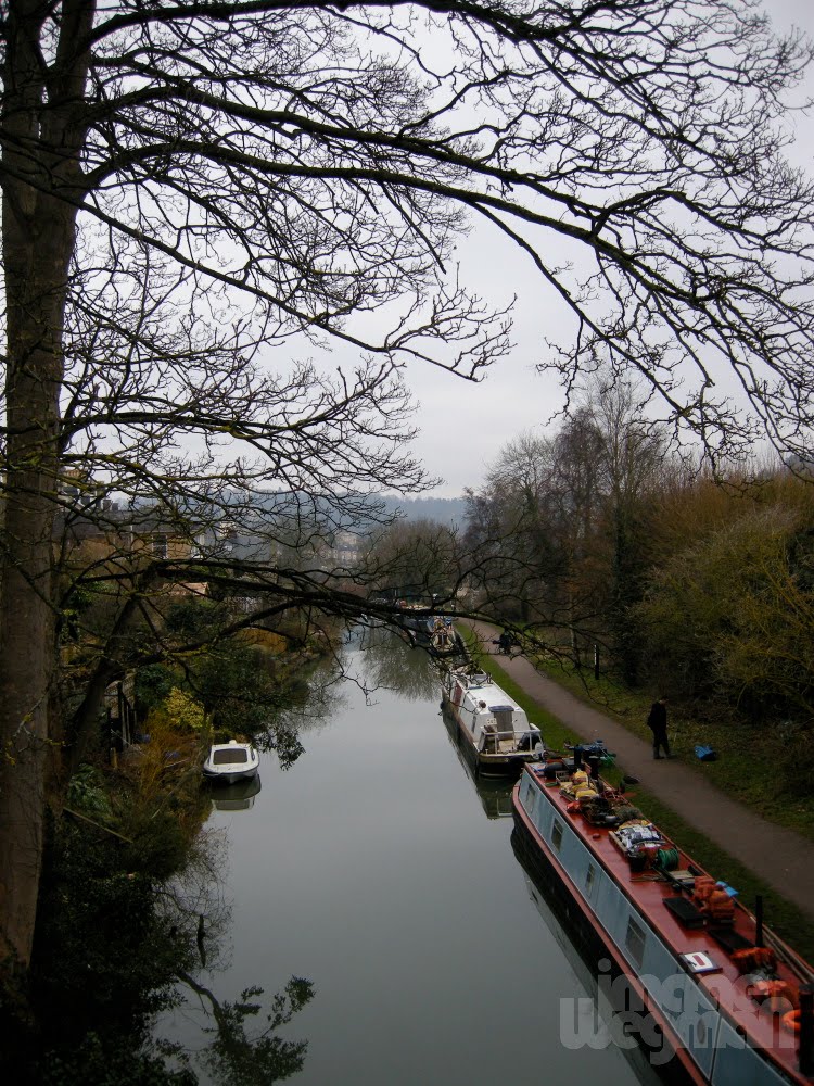 Bath waterways by Imogen Wegman