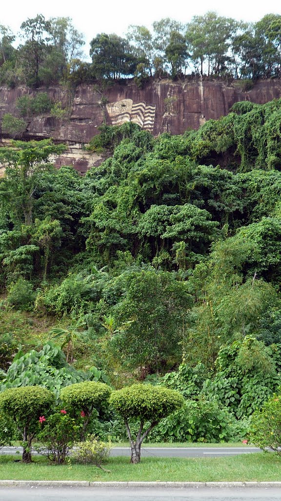 Flag on Cliff by clone_alien