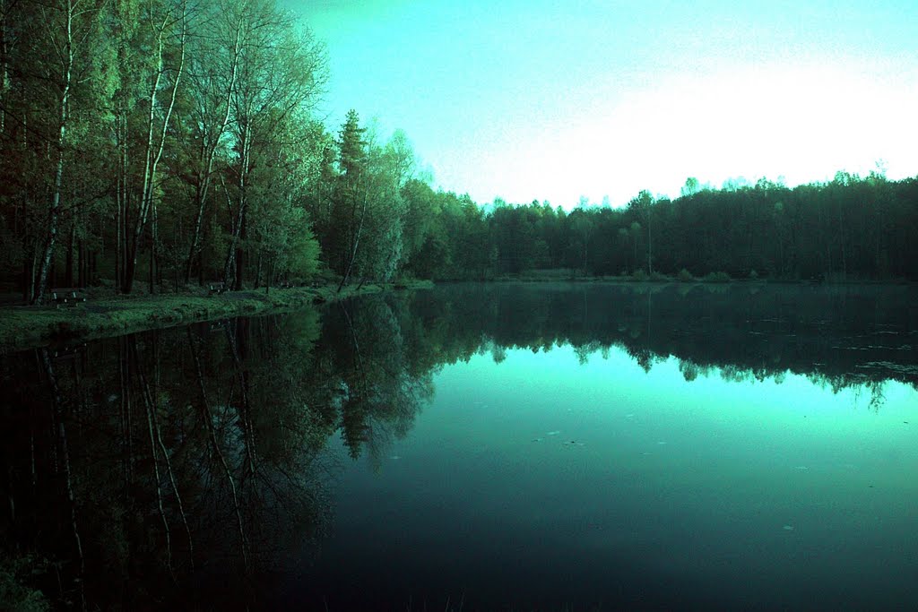 Staw w podczerwieni (Pond in IR) by Cobretti