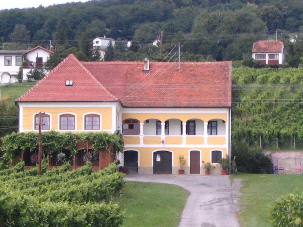 Rechnitz szölöhegy by János Horváth (renau…