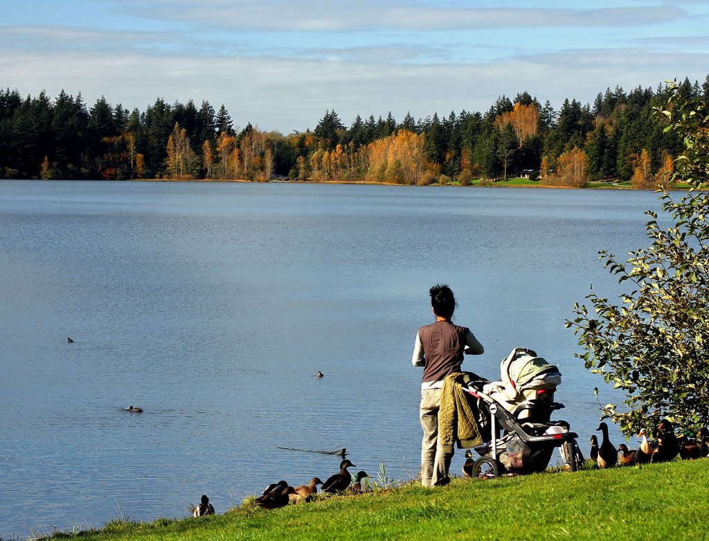 An Afternoon at Lake Padden by Martin Bring