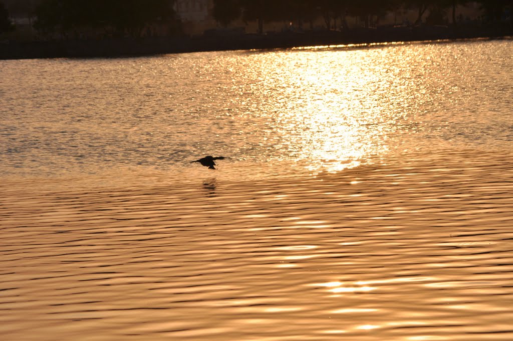 EVENING AT JAMNAGAR by YOGESH MASURIA