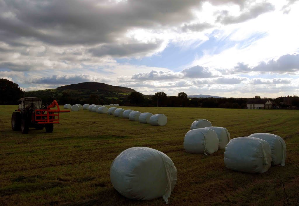 Collecting Hay Bails by Neil Coppick