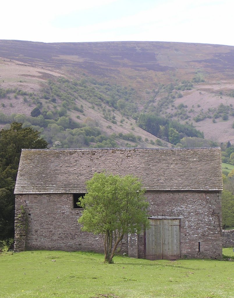 Llanthony by David Owen