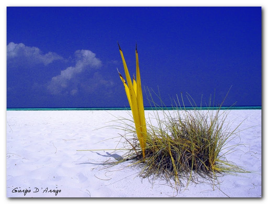 Kuredu Island by Giorgio D'Arrigo