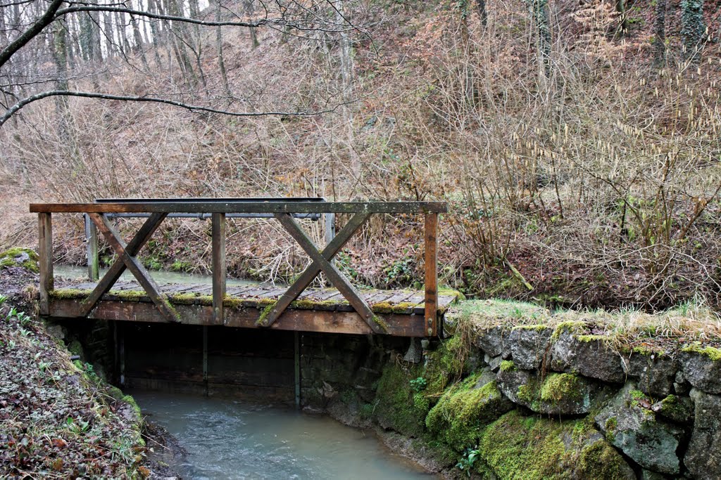 Lengnau: petit pont de bois by mperl