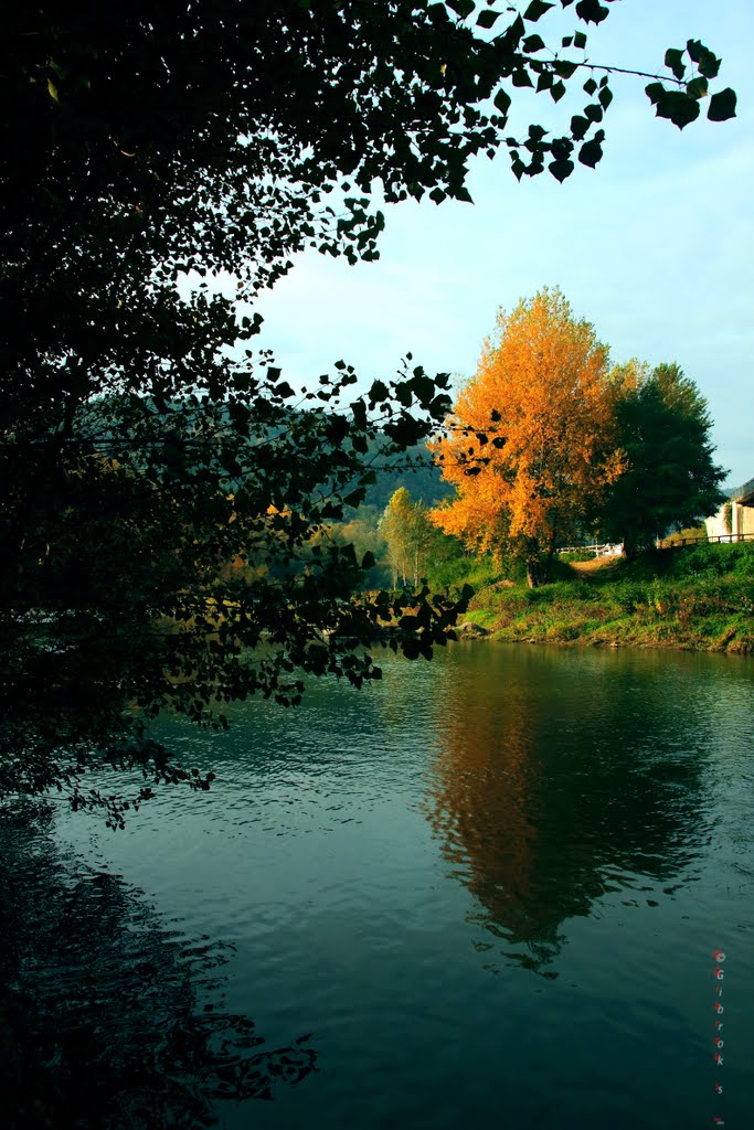 L'autunno del fiume-1 by ©Gibroks