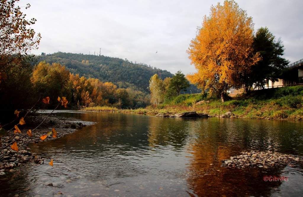 L'autunno del fiume-2 by ©Gibroks