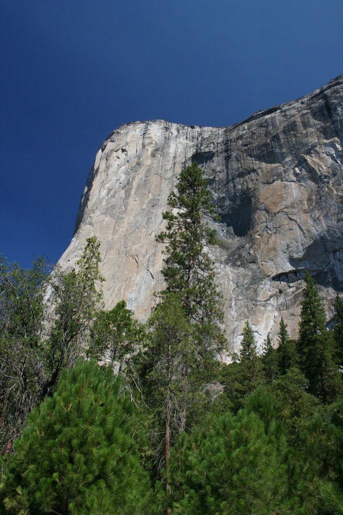 El Capitan by MattBag