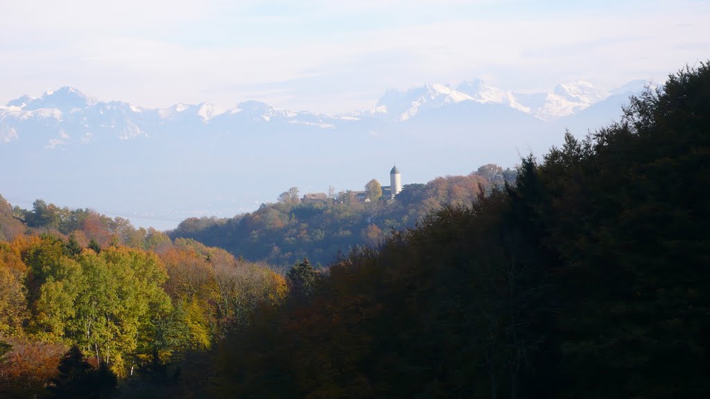 Vue sur Aubonne et les Alpes by Jean-Marc Allet