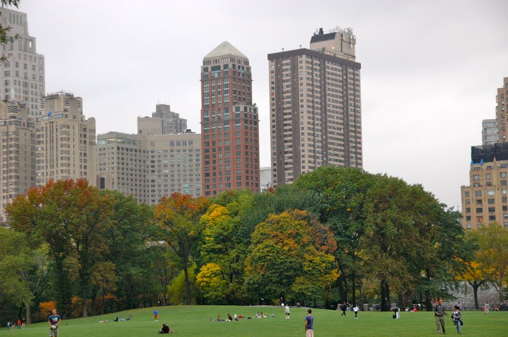 Central Park: Sheep's Meadow by dotcalm9