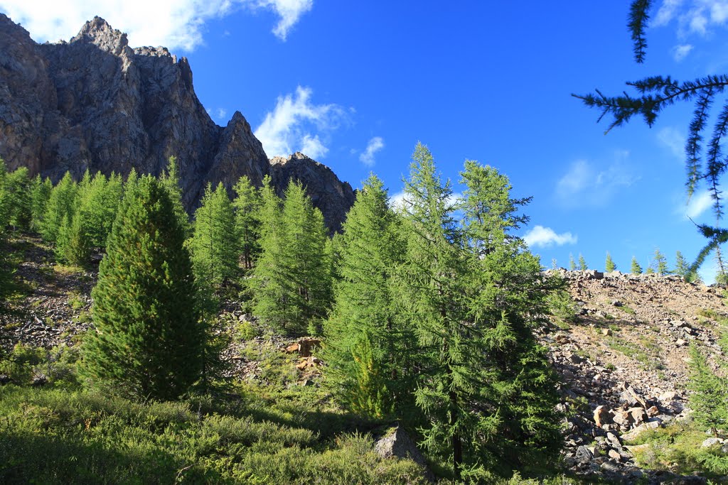 Горный Алтай. Ущелье Актру / Aktru gorge. Altai mountains by Richard Lozin