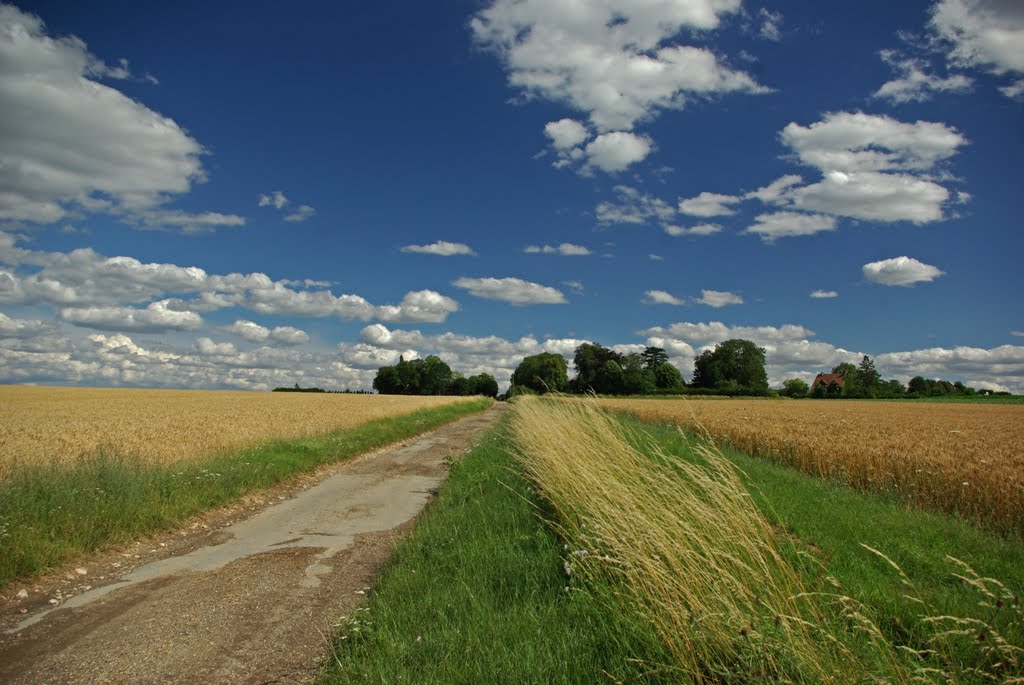 Chemin de la ferme by laulobou