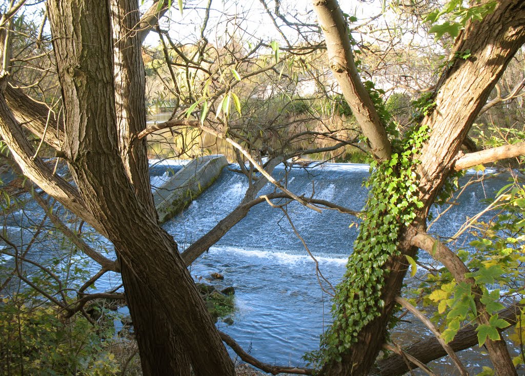 Weir : Morpeth : England by Calroy