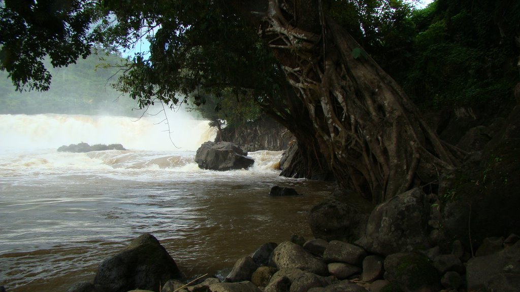 Hạ dòng Thác Gia Long by Nhựt Trịnh Minh