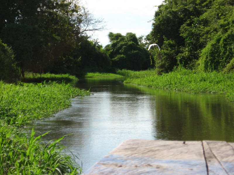 Caño a Pijiño by eudelis