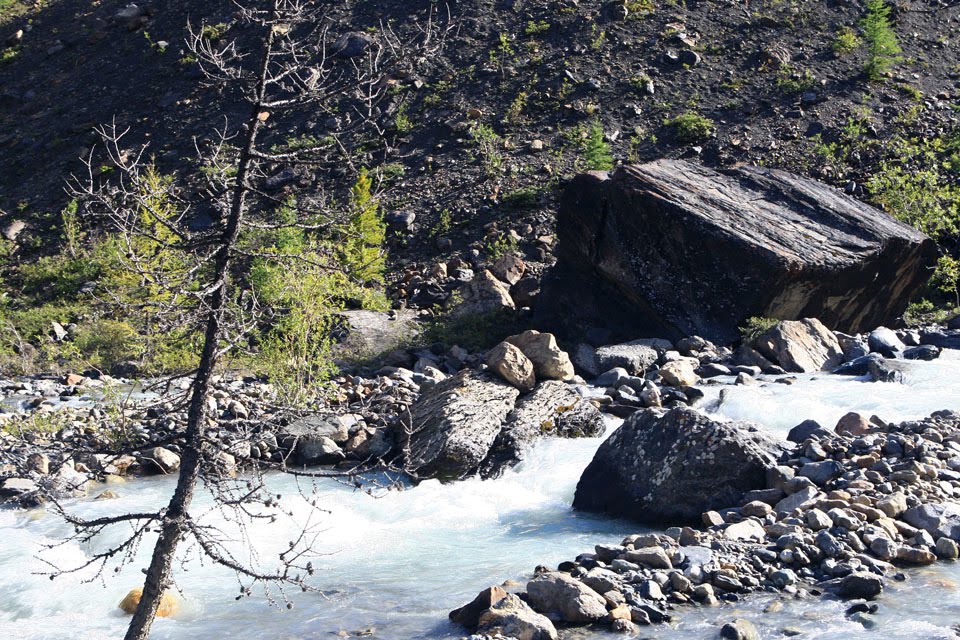 Горный Алтай. Ущелье Актру / Aktru gorge. Altai mountains by Richard Lozin