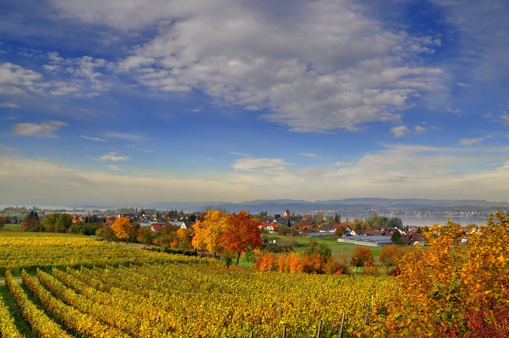 Insel Reichenau by Herbij