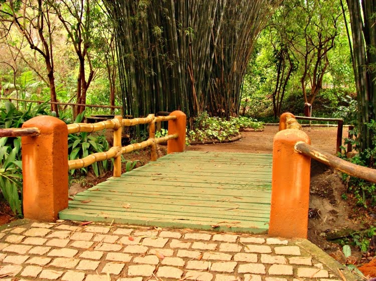 Parque Severo Gomes, São Paulo, Brasil by Luiz A. Cerveira