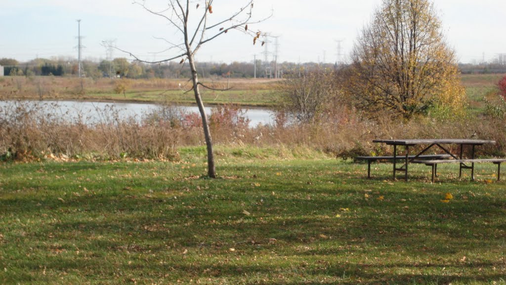 East Branch Forest Preserve by mandymelody