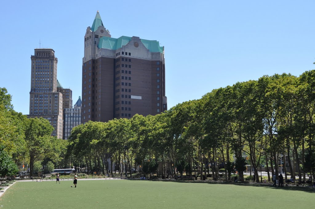 Cadman Plaza in Brooklyn, New York. by Nicola e Pina Newyor…