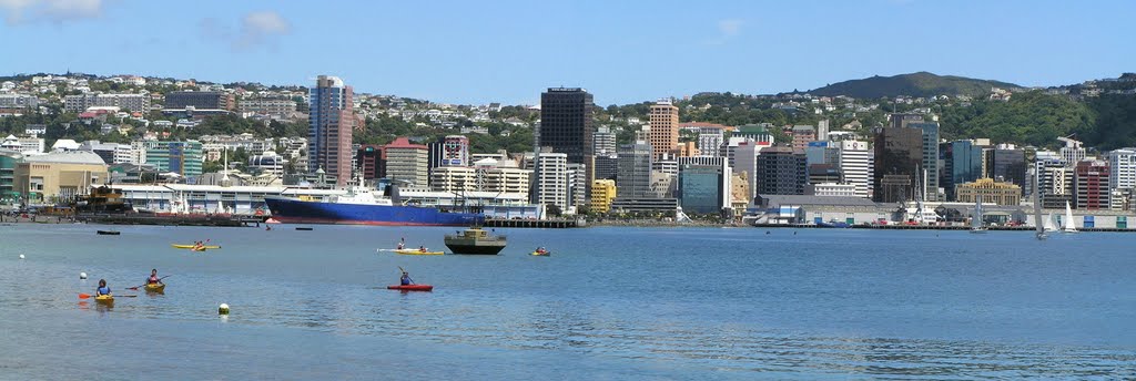 Wellington Harbour by nigelt46