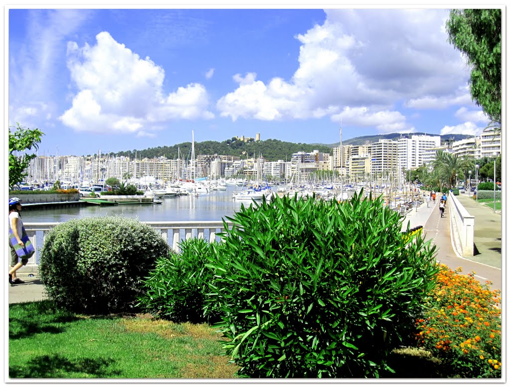 Palma, PM, Spanien, 2010,MALLORCA by A. Drexler