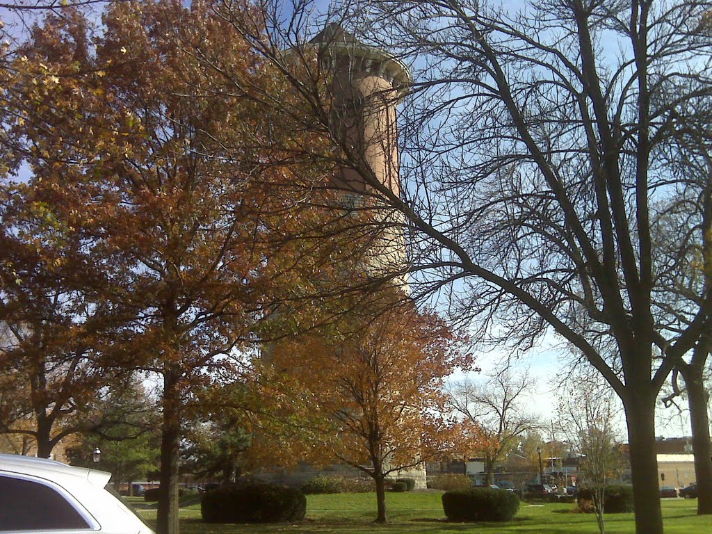 The trees and covering it up a bit. It looks like autumn. by italianrondacat