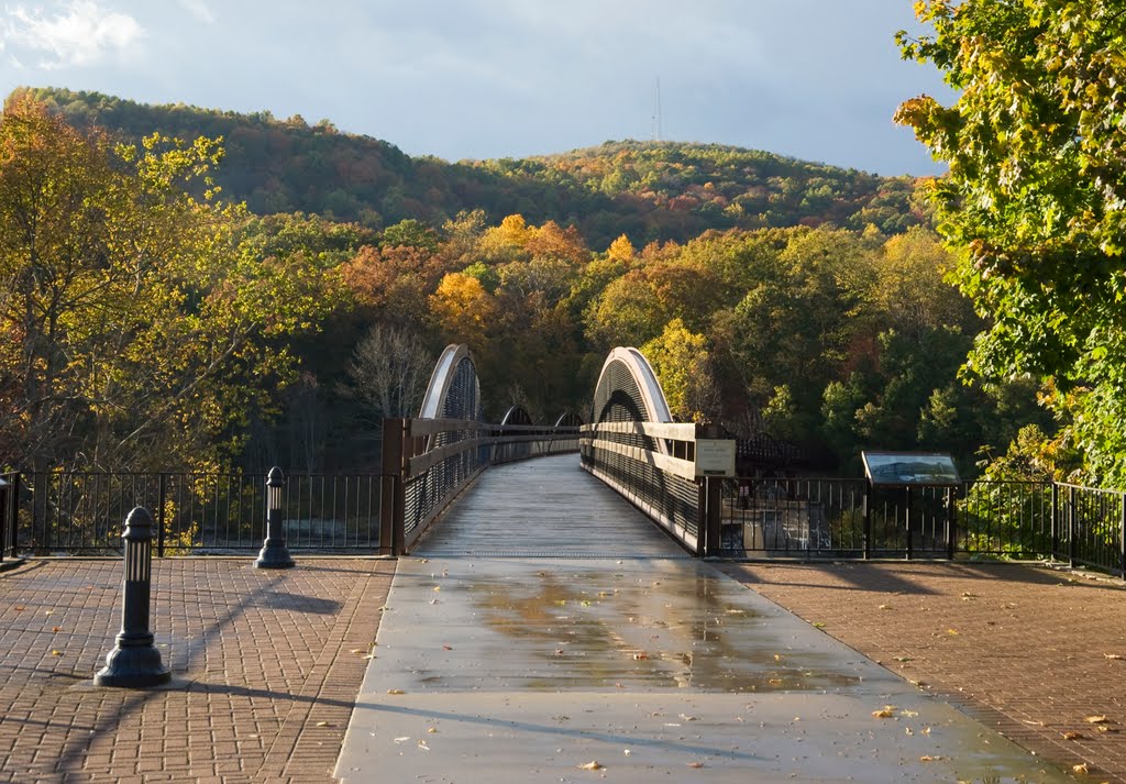 View of Youghiogheny River Footbridge from Ohiopyle Visitors' Center by Mary Wolfe