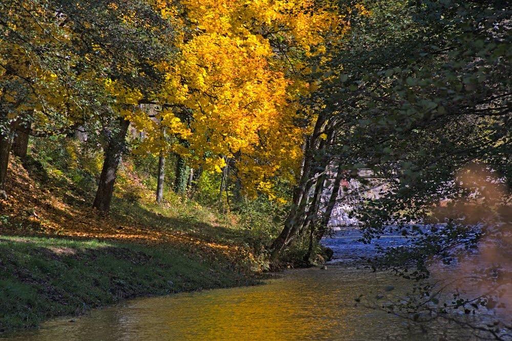 Herbstliches Kinzigufer by klickspott