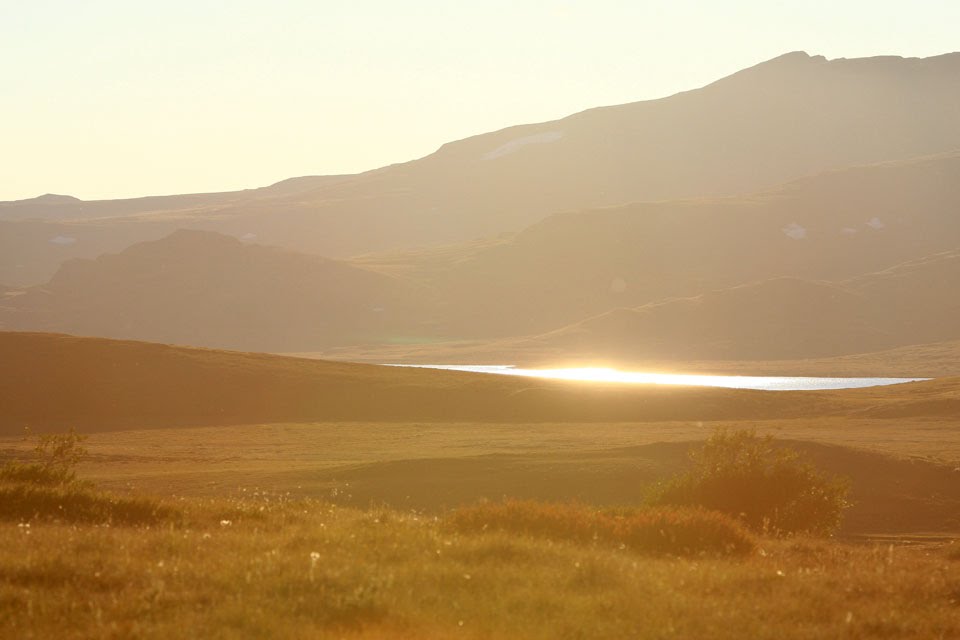 Горный Алтай. Плато Укок / Ukok Plateau. Altai mountains by Richard Lozin