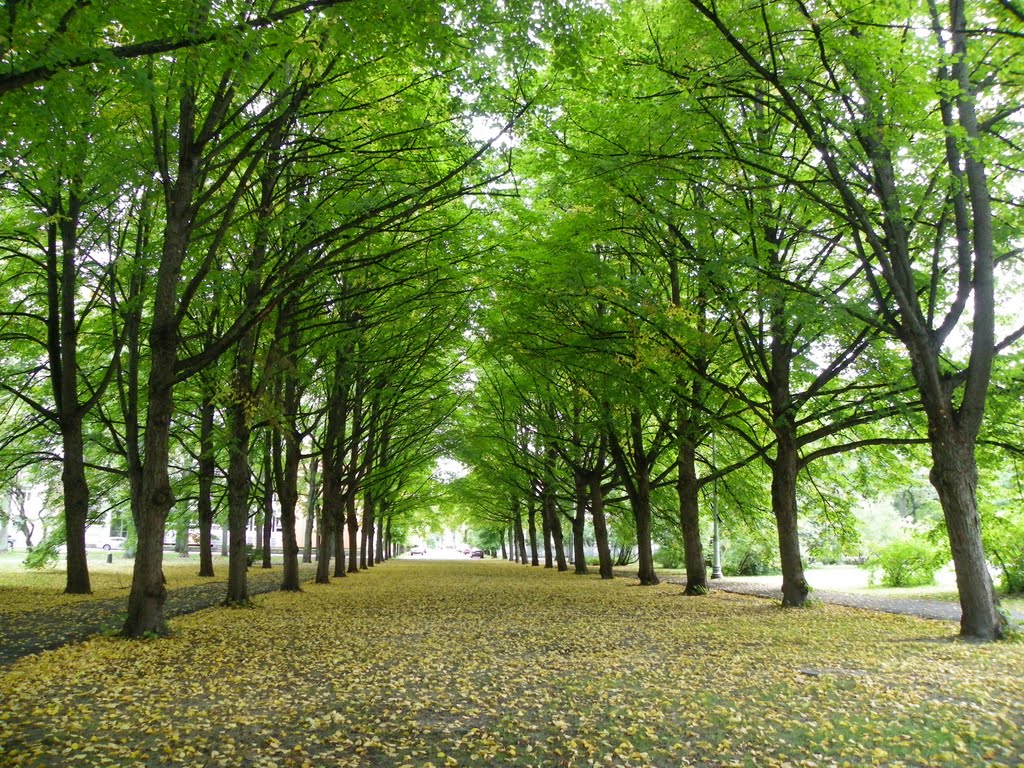 Parnu, Estonia (September 2010) by orientmystique