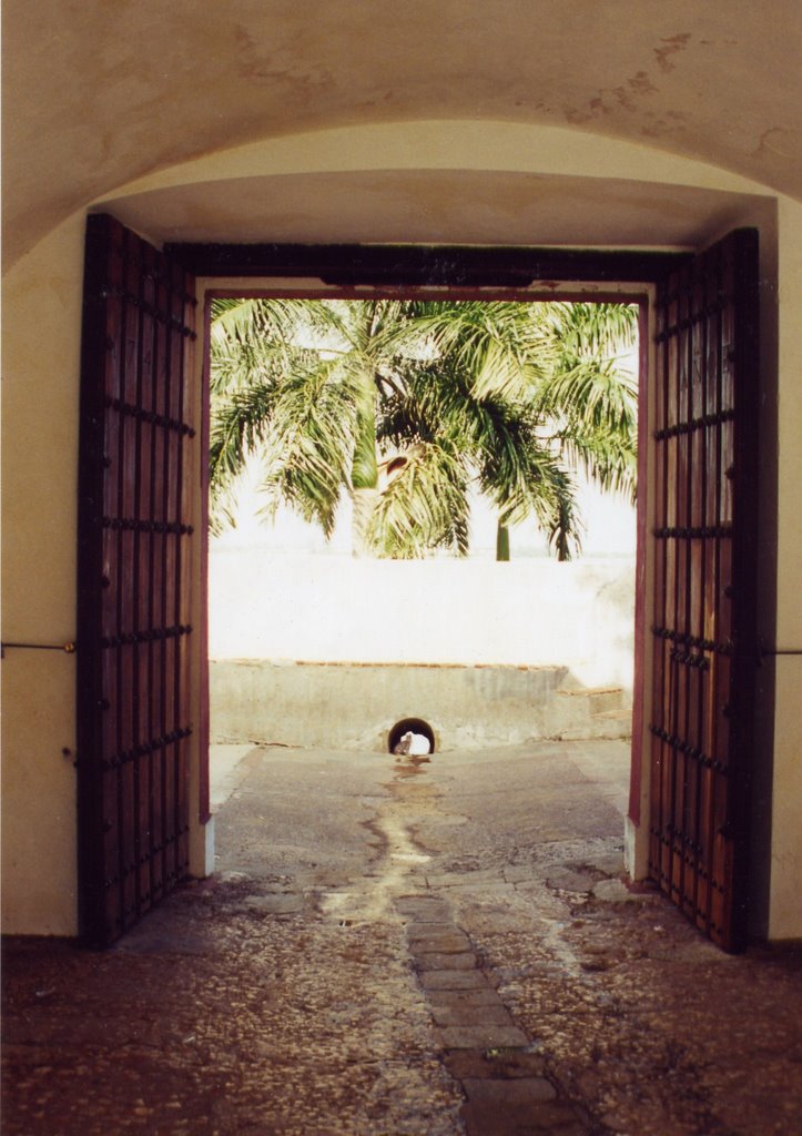 La puerta de San Juan by Peter Rabbit little …