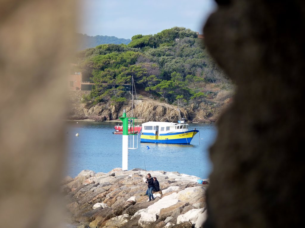 Regard sur le port by franck ripert