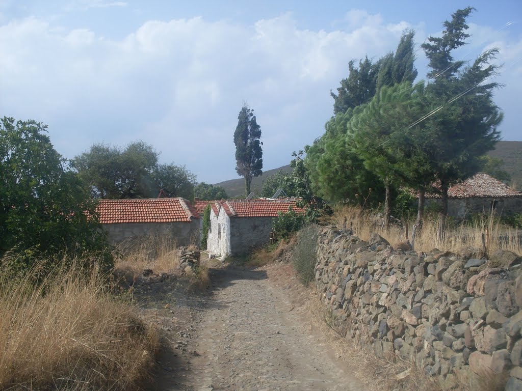 Ayvalık, Cunda, Doğu Gökçe (II.Patriçe) Köyü by Kasım OKTAY