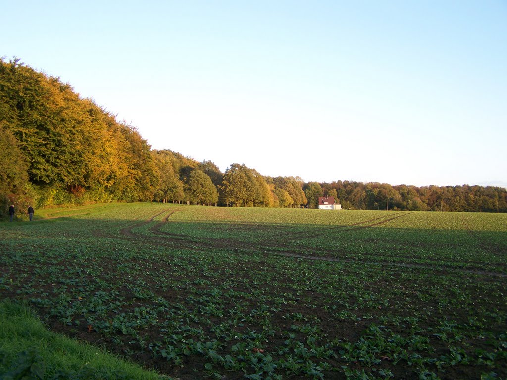 Blickrichtung Osten / Herford (Wüstener Weg) ... 24. Okt. 2010 by JensB2001