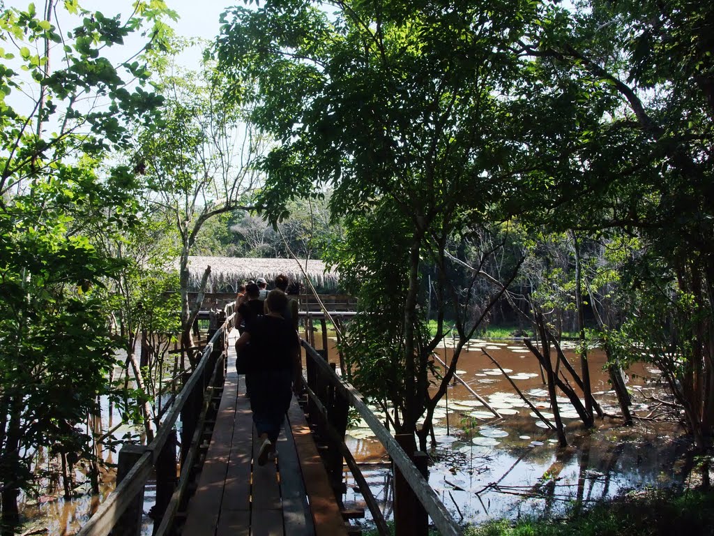 Iranduba - State of Amazonas, Brazil by jcchaubenit