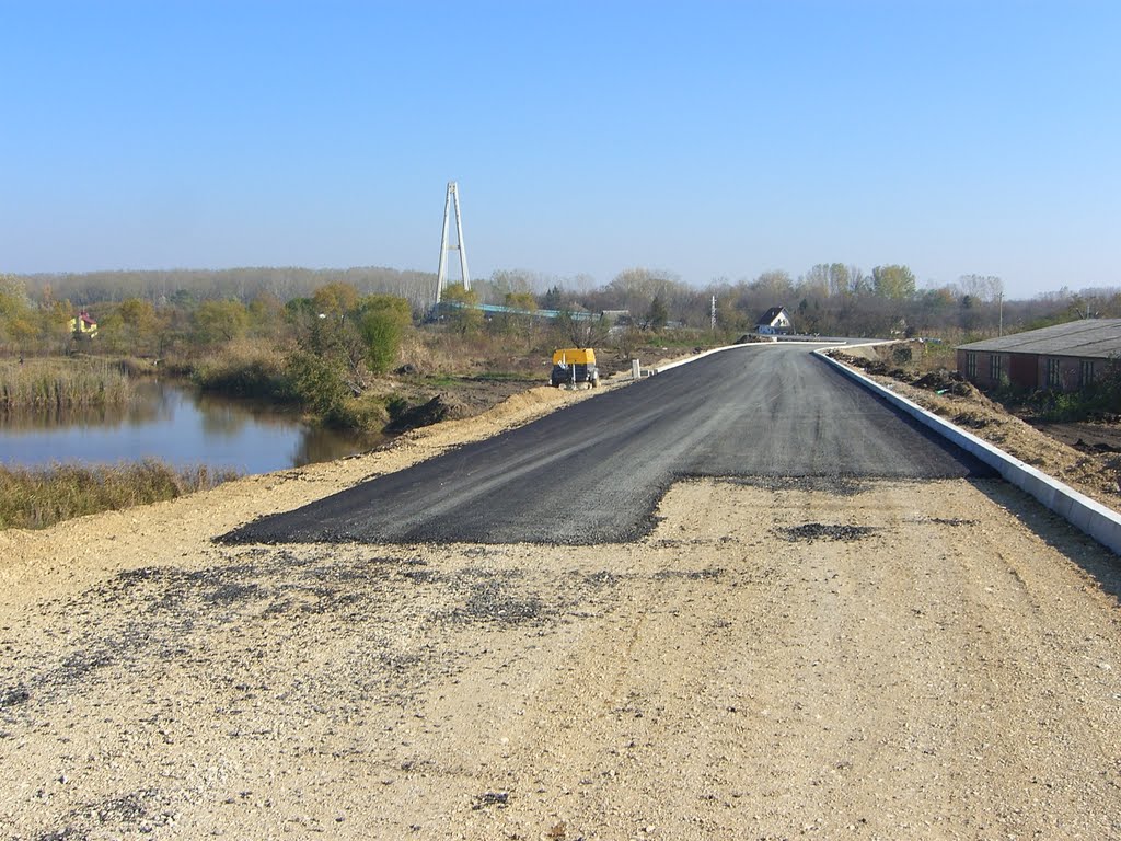 Approach to the bridge on the river Tisa by srki56