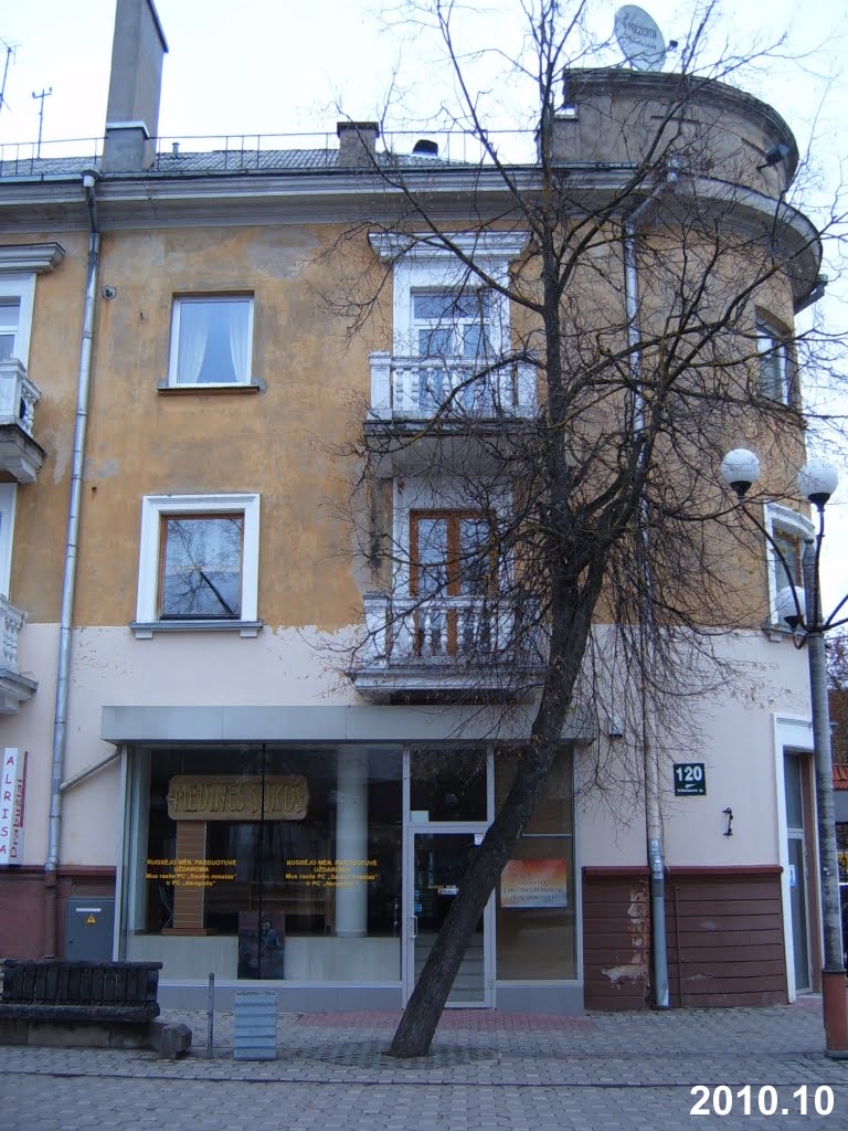 Pastatas su parduotuvėmis bulvare / Building with Shops on Pedestrians' Boulevard by Irmantas Kanapeckas